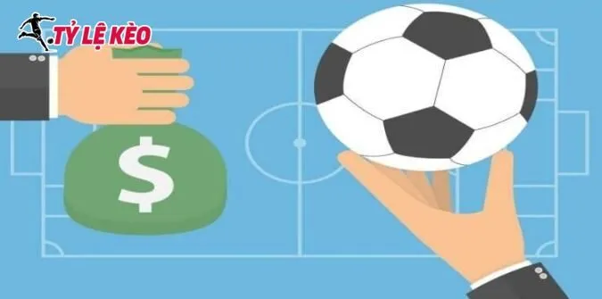 Lợi ích hấp dẫn khi cá cược Livescore