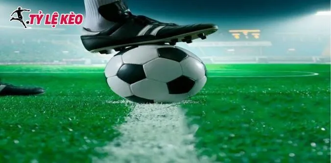 Kinh nghiệm cá cược Livescore hiểu quả