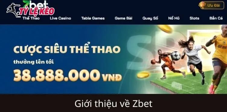 Giới thiệu về Zbet