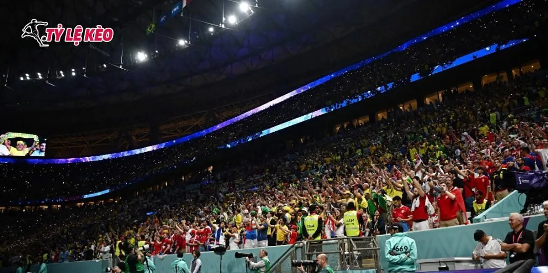Không khí Tunisia vs Thụy Điển sôi nhiệt tại World Cup 2026